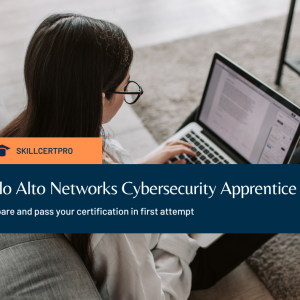 Palo Alto Networks Cybersecurity Apprentice Exam Questions 2025